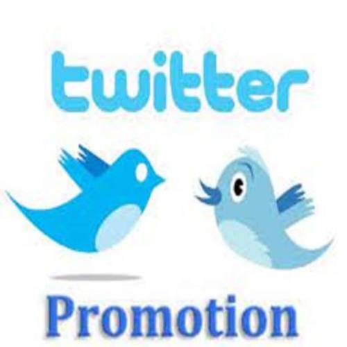 Twitter Promotion Company in Mumbai