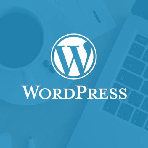 Wordpress Development Company in Mumbai